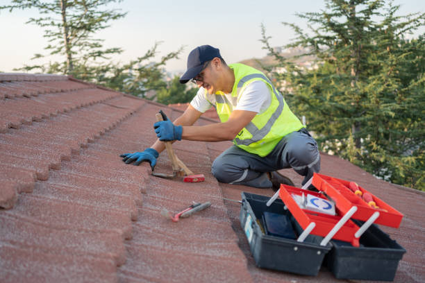 Best Roof Gutter Cleaning  in Stuarts Draft, VA
