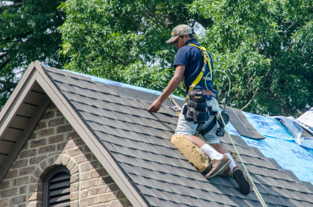 Best New Roof Installation  in Stuarts Draft, VA